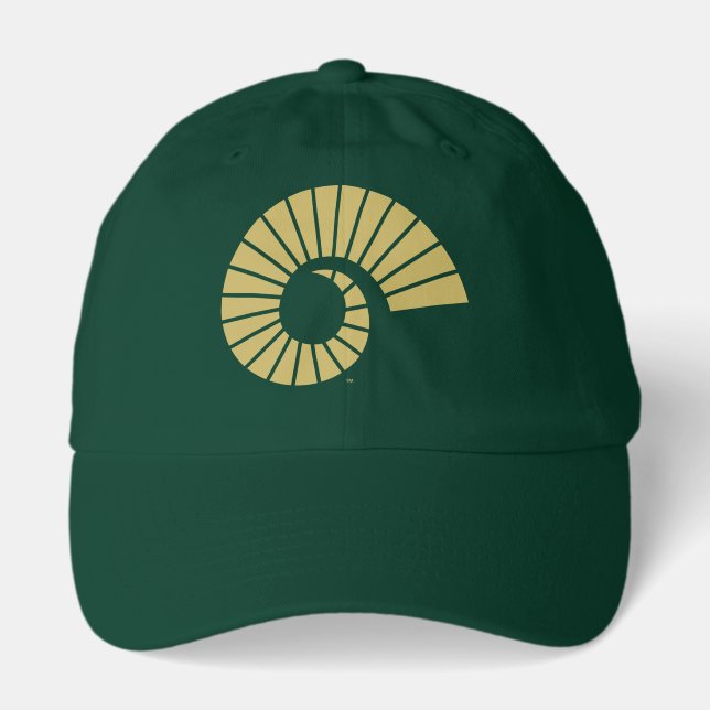 Colorado State University Ram Horn 3 Hat (Front)