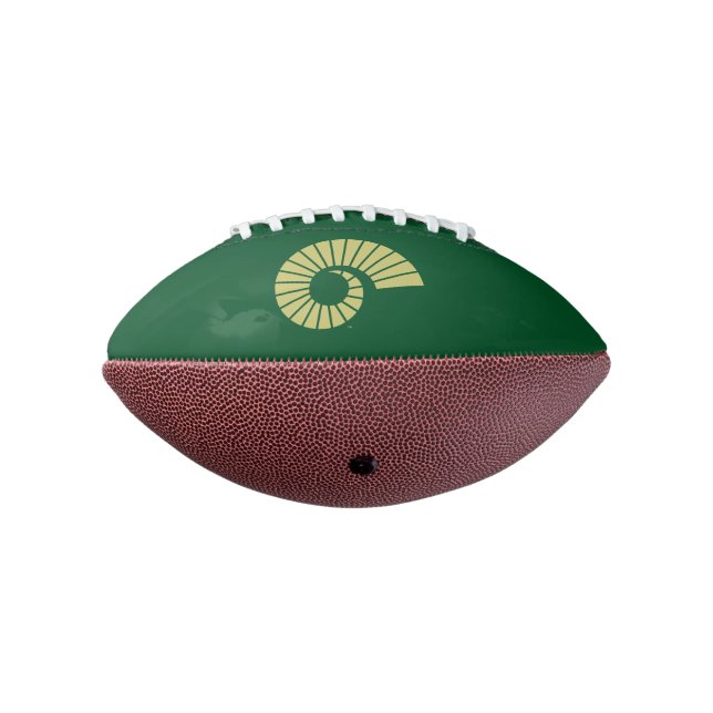 Colorado State University Ram Horn Gold Football (Rotated 270)
