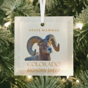 Colorado Territory Mammal The Bighorn Sheep Glass Ornament