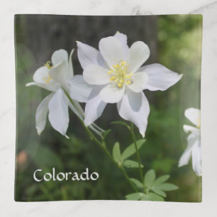 Colorado White Columbine Flower Trinket Tray