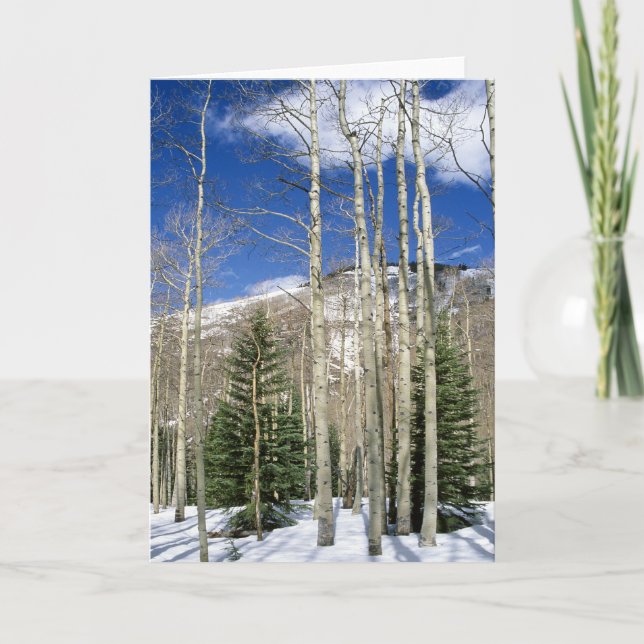 Colorado Wilderness Card (Front)