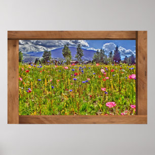 Colorado wildflower mountain view poster print