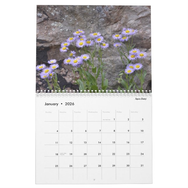 Colorado Wildflowers Calendar (Jan 2026)