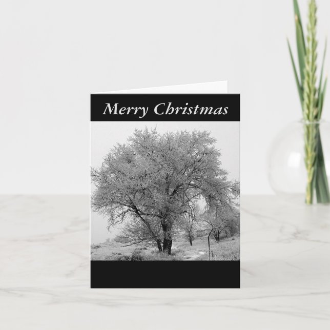 Colorado Winter Christmas Card (Front)