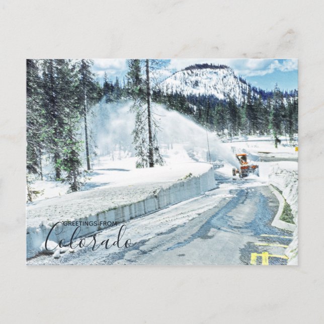 Colorado Winter Deep Snow Postcard (Front)