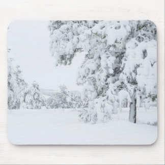 Colorado Winter Mouse Pad
