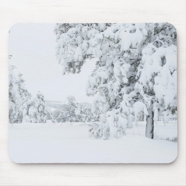 Colorado Winter Mouse Pad (Front)