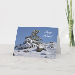 Colorado Winter Pine Christmas Card