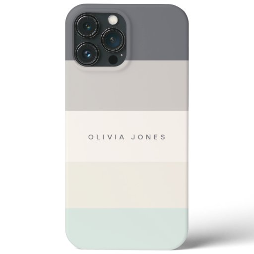Colorblock Horizontal Stripe Grey & Beige iPhone 13 Pro Max Case