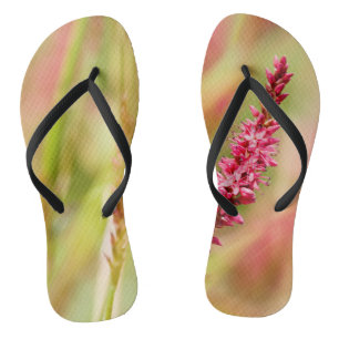 colorbush flip flops