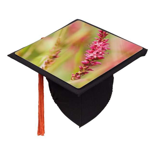colorbush graduation cap topper (Angled)