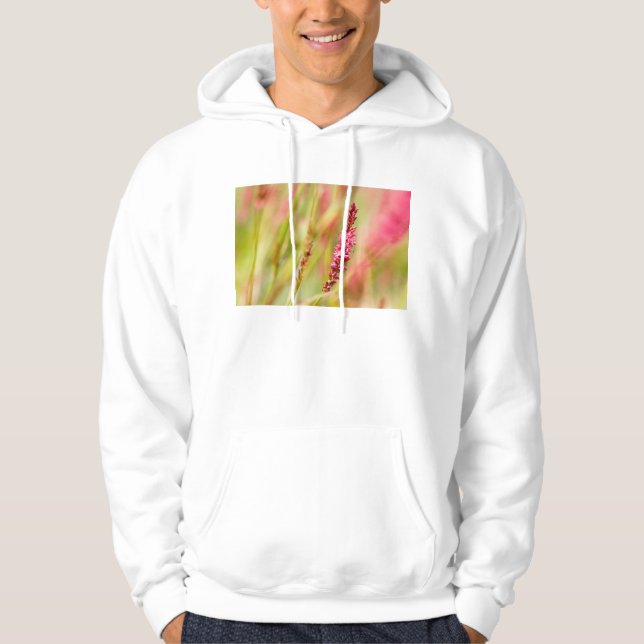 colorbush hoodie (Front)