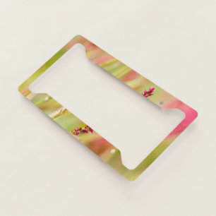 colorbush license plate frame