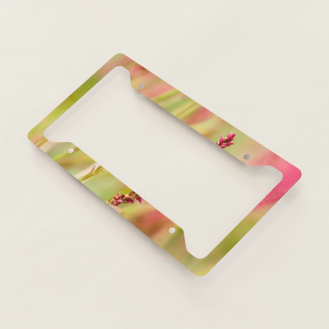 colorbush license plate frame (3/4)