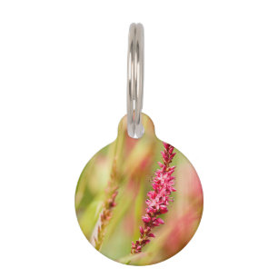 colorbush pet ID tag