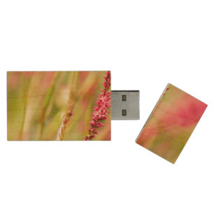 colorbush wood flash drive