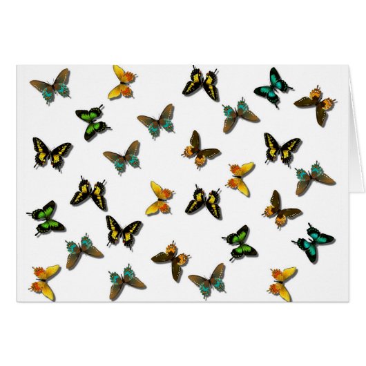 Colored Butterflies Art Cards (Front Horizontal)