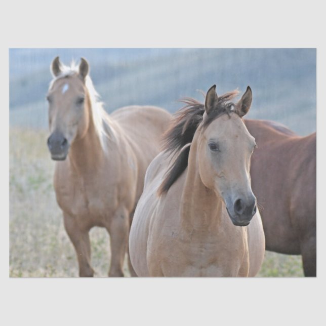 Colored Horses Tissue Paper (Front)