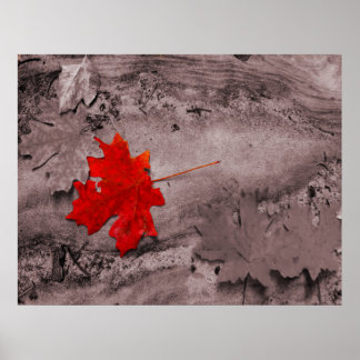 Colored Leaf on Black and White Photo Poster
