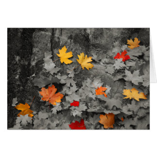 Colored Leaves in Black and White Card