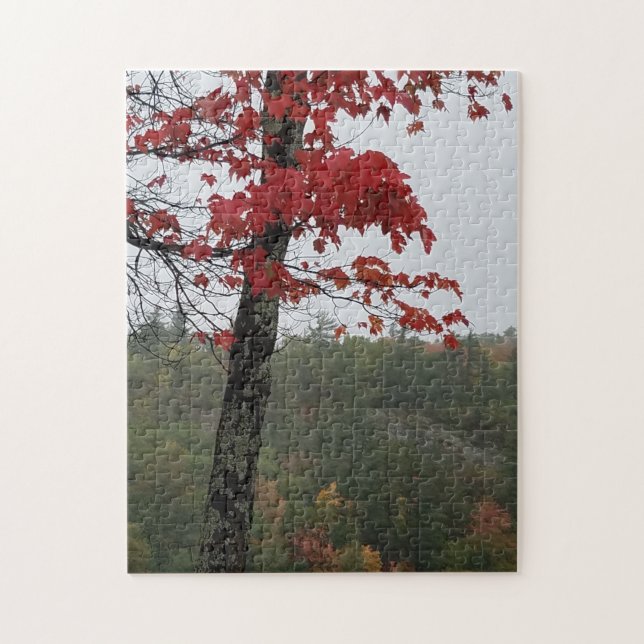 Colored Leaves It's Autumn Jigsaw Puzzle (Vertical)