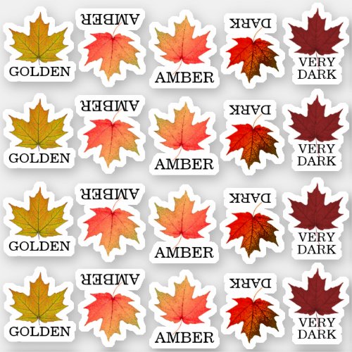 Colored Maple Leaf Grading Stickers 