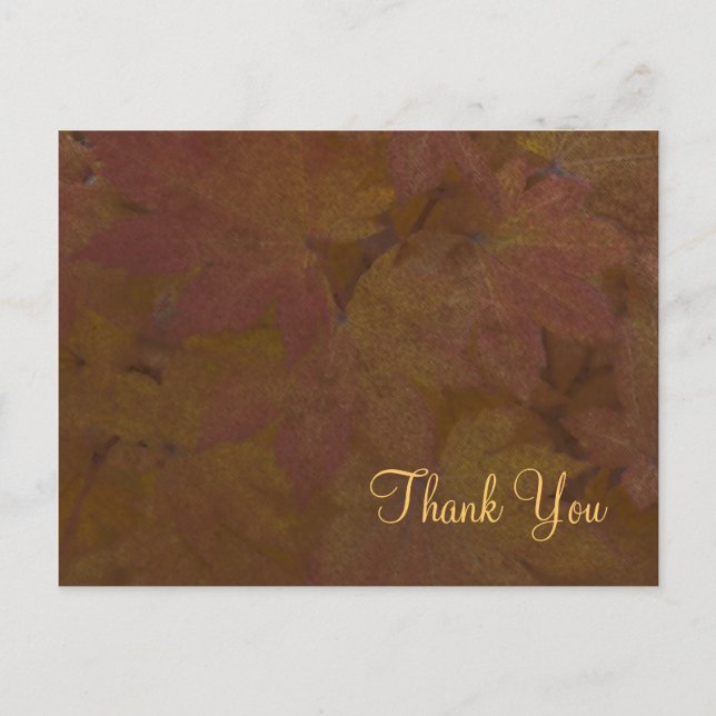 Colored Maple Leaves Thank You Postcard (Front)