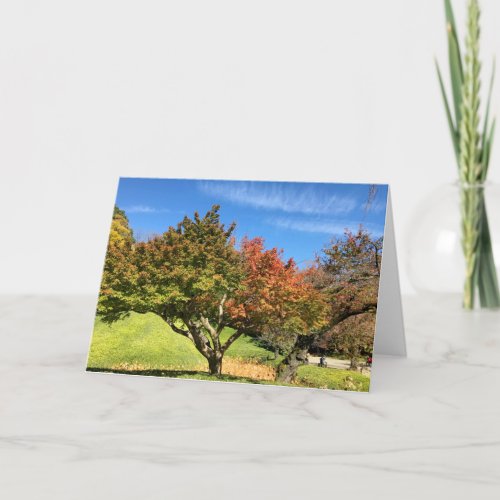 Colored Maple Tree in Autumn Card