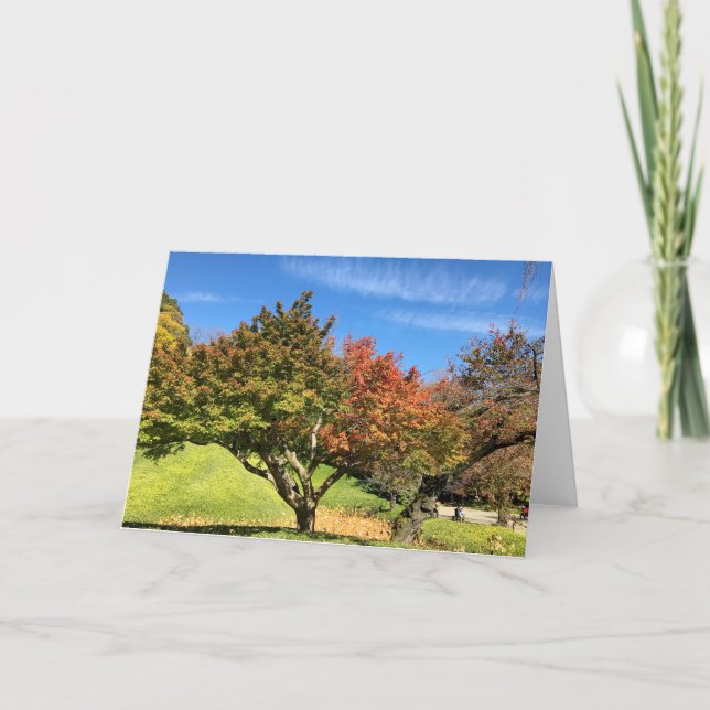 Colored Maple Tree in Autumn Card (Front)