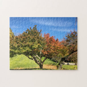 Colored Maple Tree in Autumn Jigsaw Puzzle