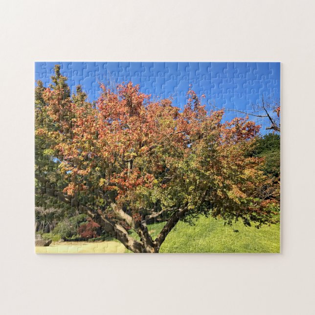 Colored Maple Tree Jigsaw Puzzle (Horizontal)