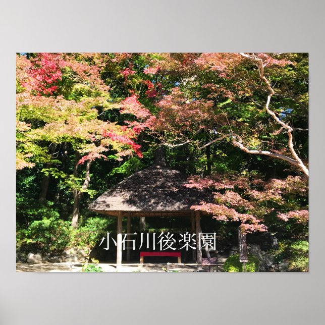 Colored Maple Trees and Rest House Poster (Front)