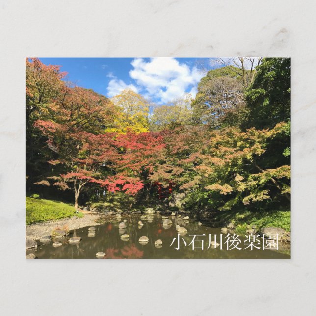Colored Maple Trees by Pond Postcard (Front)