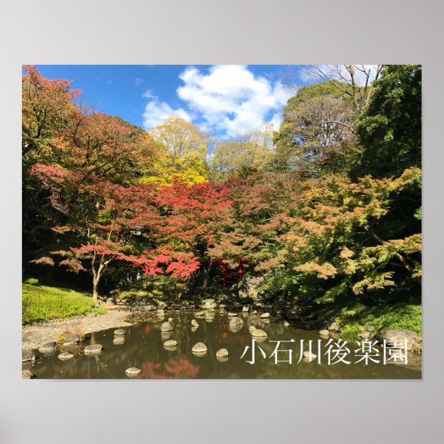 Colored Maple Trees by Pond Poster (Front)