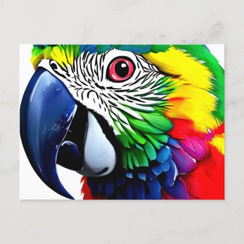 Colored parrot face on white background postcard