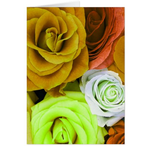 Colored Roses (Front)