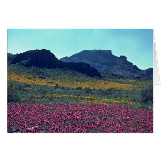 Colored Slopes Cards (Front Horizontal)