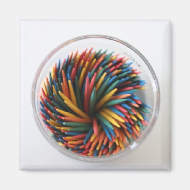 Colored Toothpicks Magnet (Front)