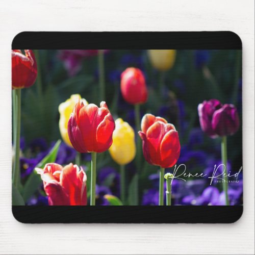 Colored Tulips Mouse Pad