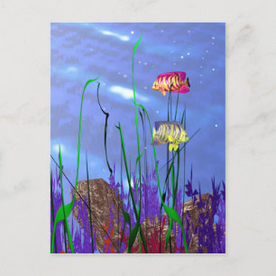 Colorful 3d Angelfish Postcard