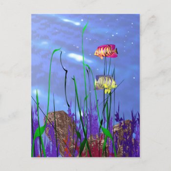 Colorful 3d Angelfish Postcard by Peerdrops at Zazzle