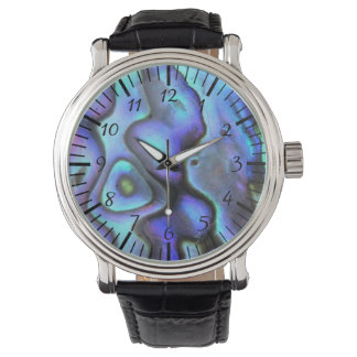 Colorful Abalone Seashell, Beautiful Nature Watch