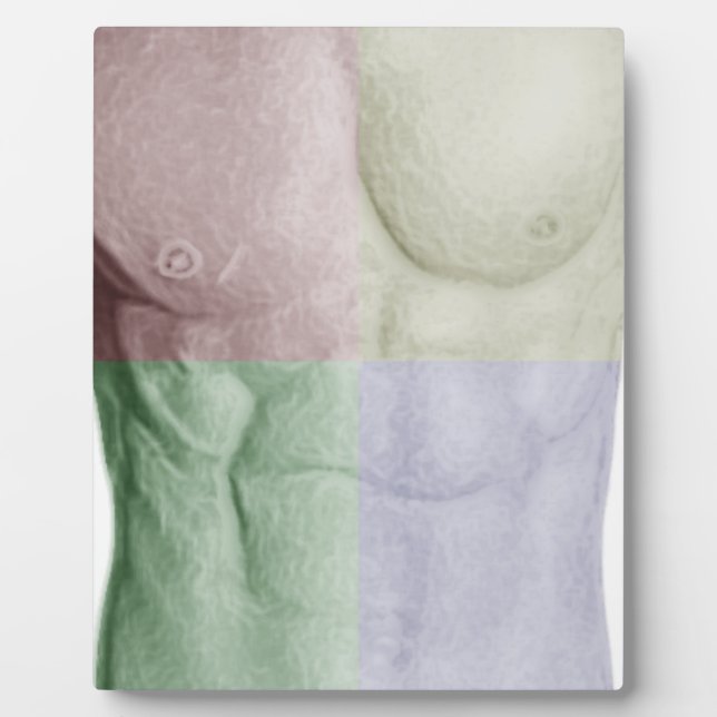 Colorful Abs Plaque (Front)