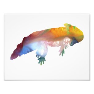 Colorful abstract axolotl silhouette photo print