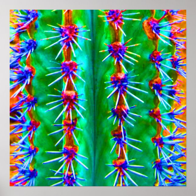 Colorful Abstract Cactus Pop Modern Southwest Poster (Front)