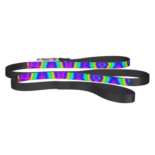 Colorful Abstract Pet Leash (Full)