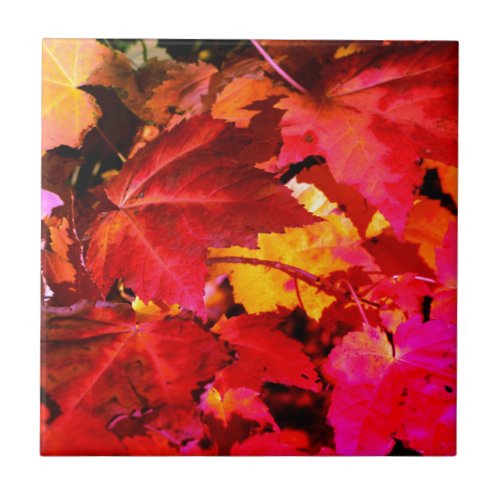 Colorful abstract pink red orange Autumn Leaves Ceramic Tile