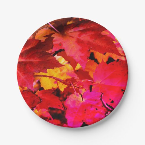 Colorful abstract pink red orange Autumn Leaves Paper Plates