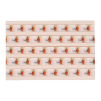 Colorful Abstract Red Pepper Stripes Peach Pink