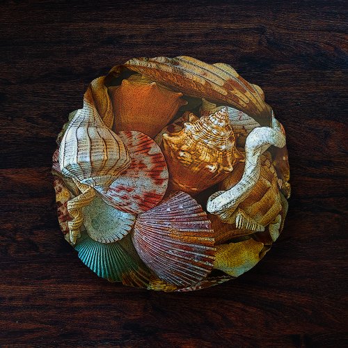 Colorful Abstract Seashells  Beach Theme Round Pillow